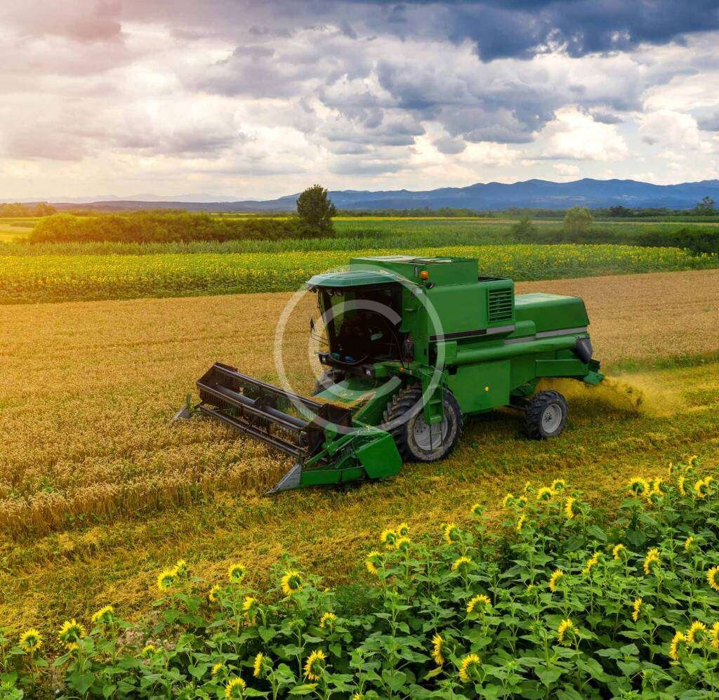Crop Varieties – Universal Seed & Agri Corporation